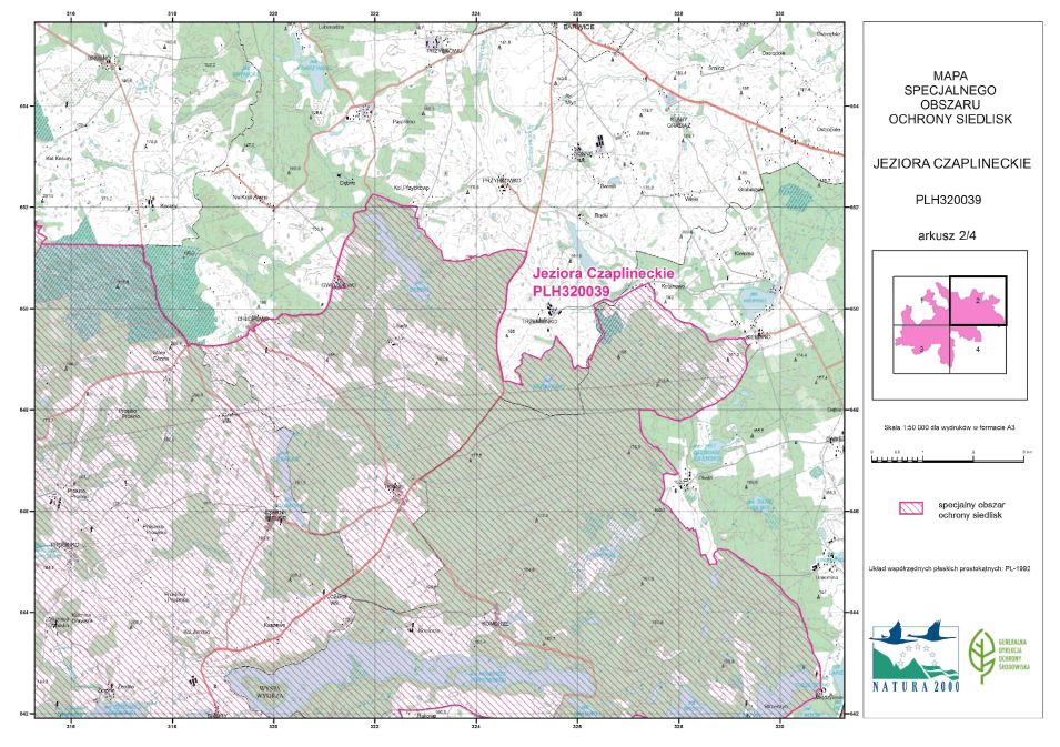 infoRgrafika