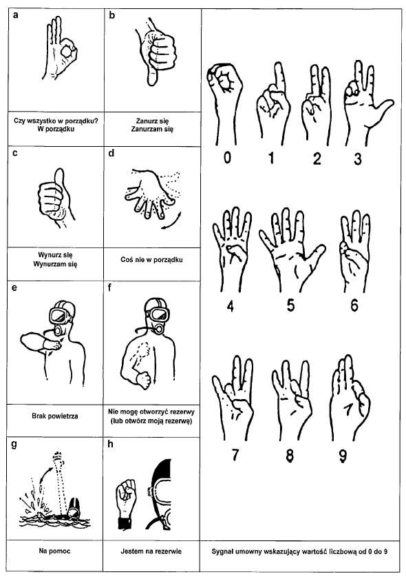 infoRgrafika