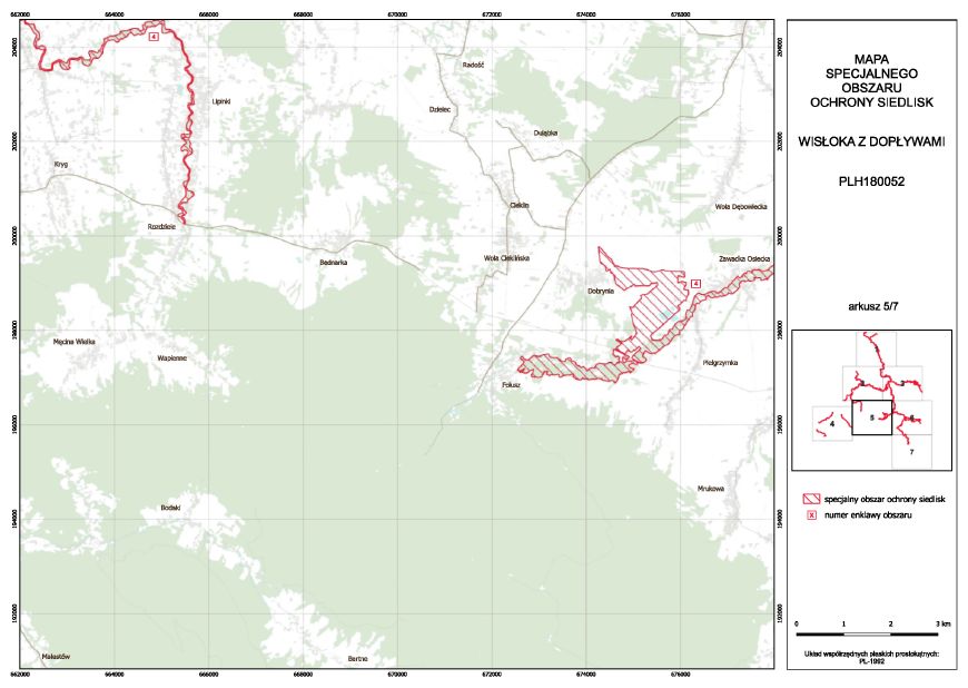 infoRgrafika