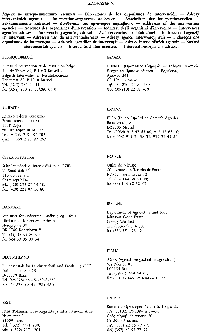 infoRgrafika