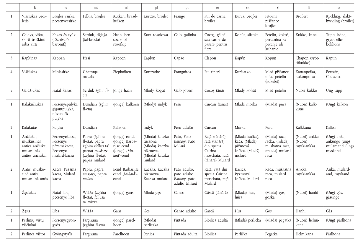 infoRgrafika