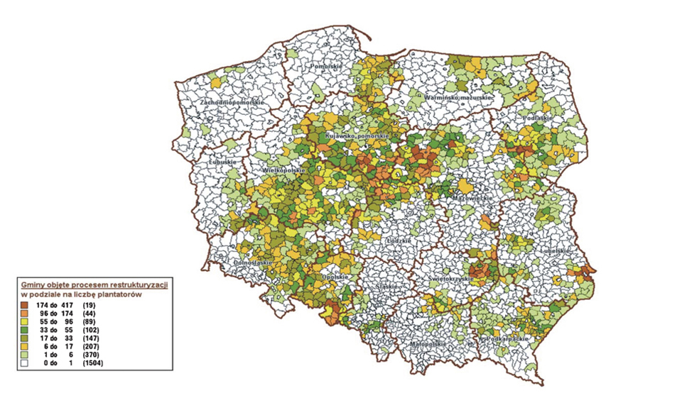 infoRgrafika