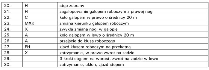 infoRgrafika