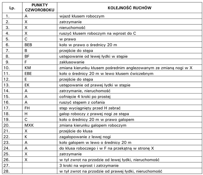 infoRgrafika