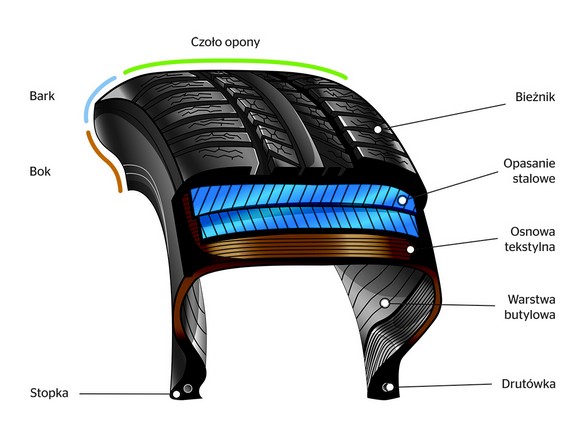 Jak zbudowana jest opona?/ fot. PZPO