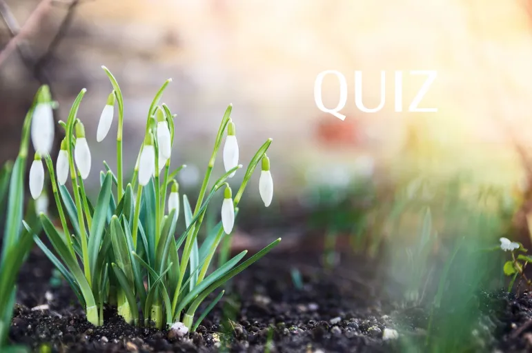 marzec quiz