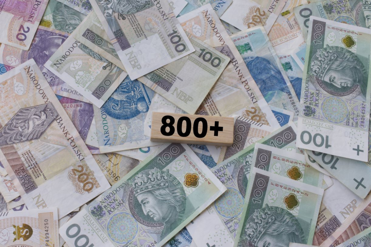 800 plus, senior, dziecko
