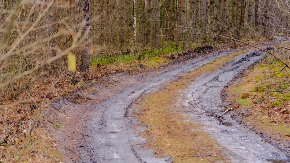 Nie masz odpowiedniego dostępu do drogi publicznej? Możesz żądać od sąsiadów tzw. drogi koniecznej. Sąd Najwyższy wyjaśnił na czym polega ta służebność