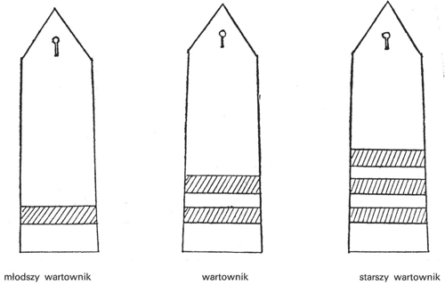 infoRgrafika