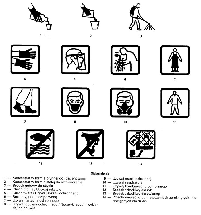 infoRgrafika