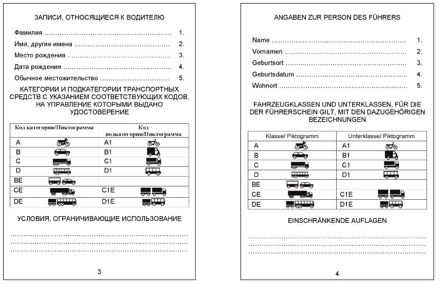 infoRgrafika