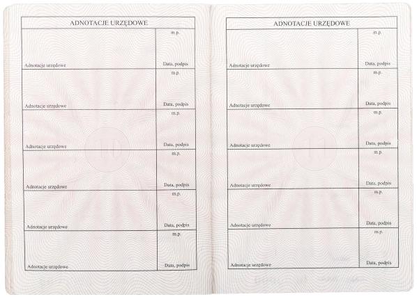 infoRgrafika