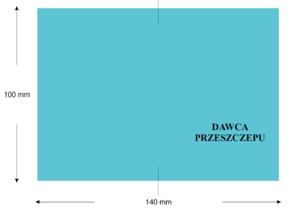 infoRgrafika