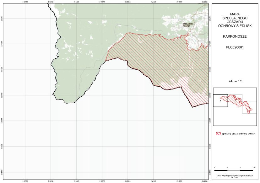 infoRgrafika