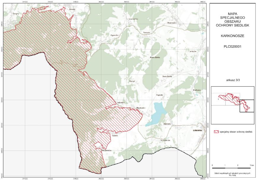 infoRgrafika