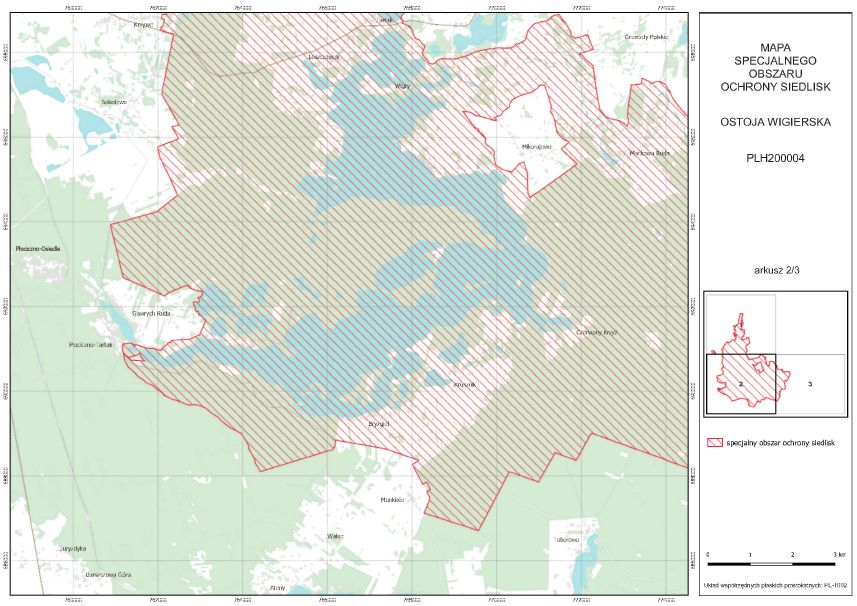 infoRgrafika