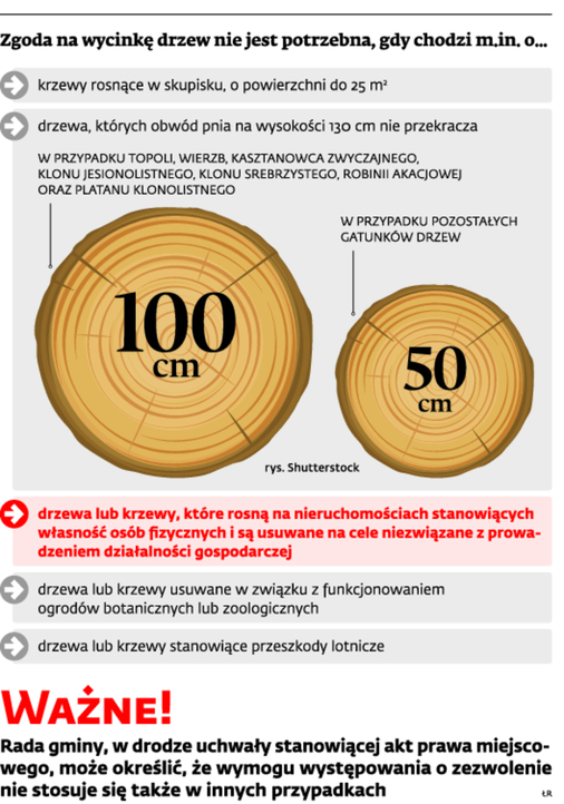 infoRgrafika