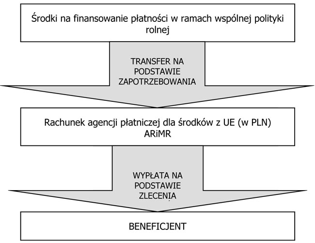 infoRgrafika