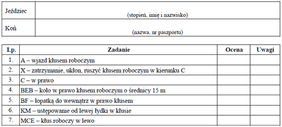 infoRgrafika