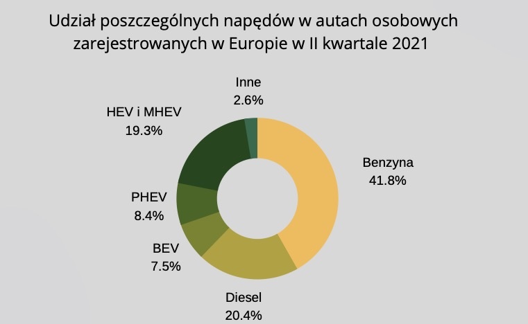 Rodzaje napędów raport