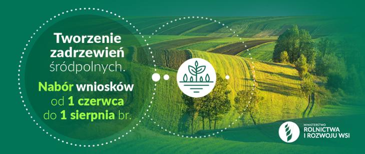 Dla rolników i gmin: Do 13 000 zł na 1 ha za tworzenie zadrzewień [wnioski do 1 sierpnia 2022 r.]