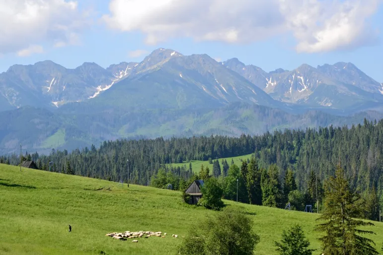 tatry góry owce bacowie juhasi górale oscypki BukowinaTatrzańska