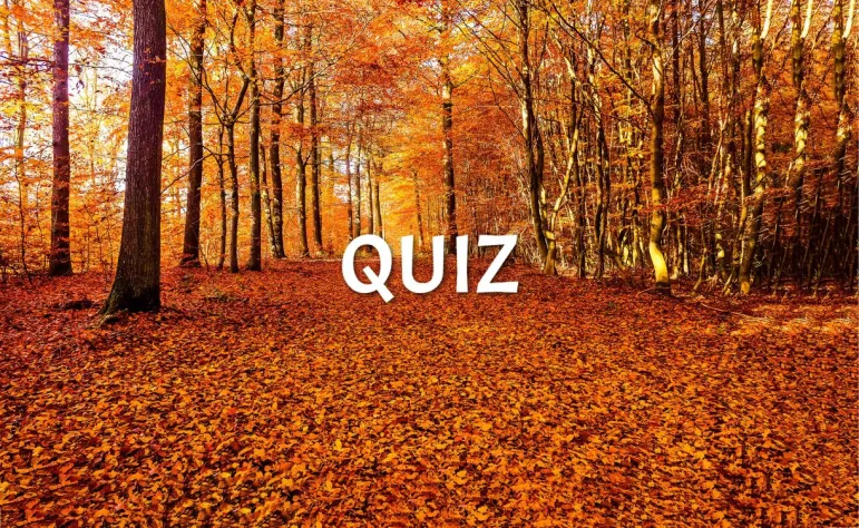 quiz jesień