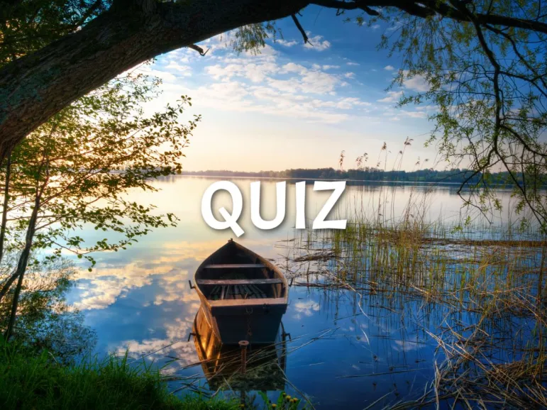 quiz