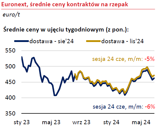 rzepak notowania cen