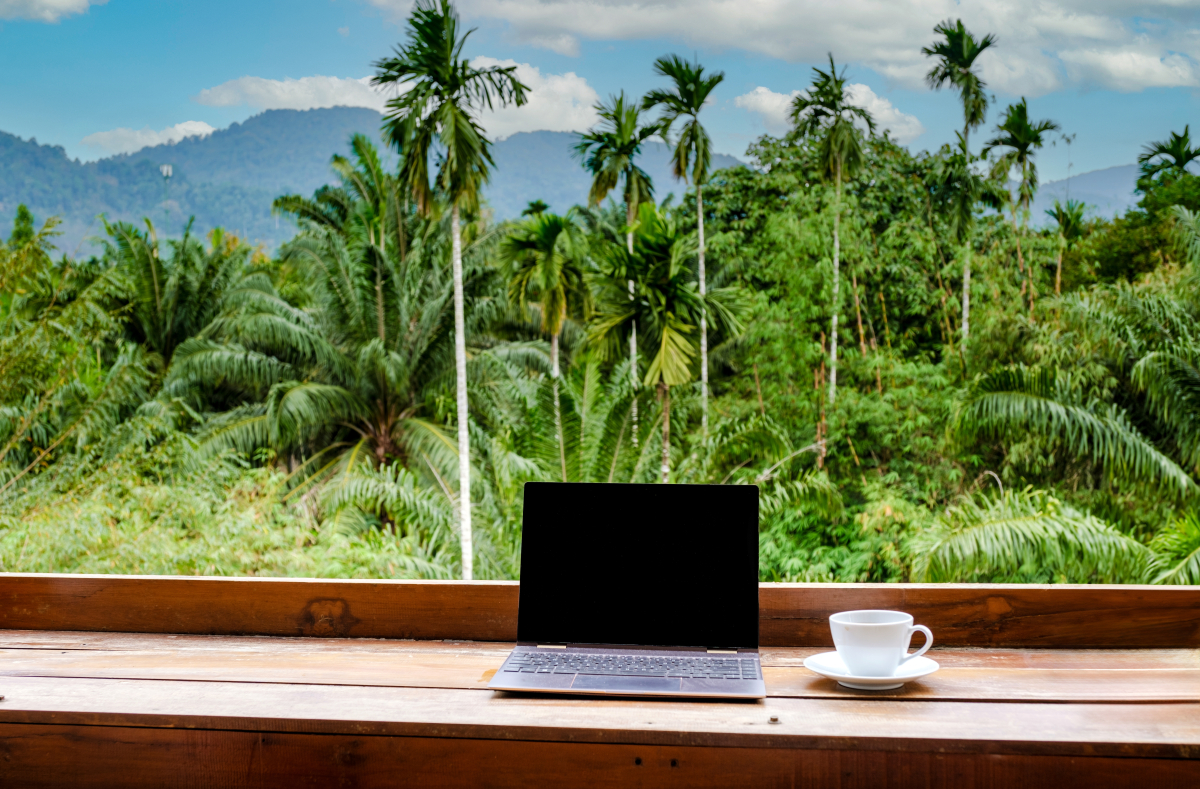 praca, zawód, studia, rozwój, zarobki, praca zdalna, rekrutacja