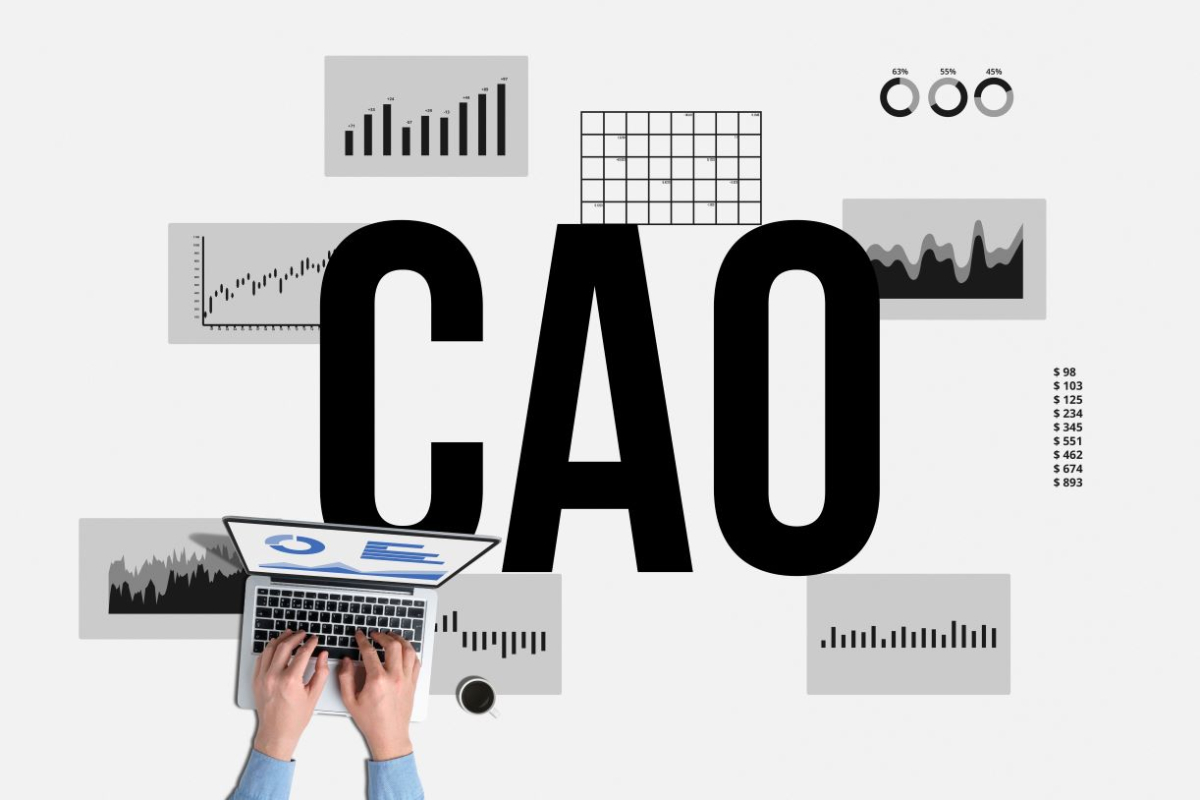 Chief Analytics Officer