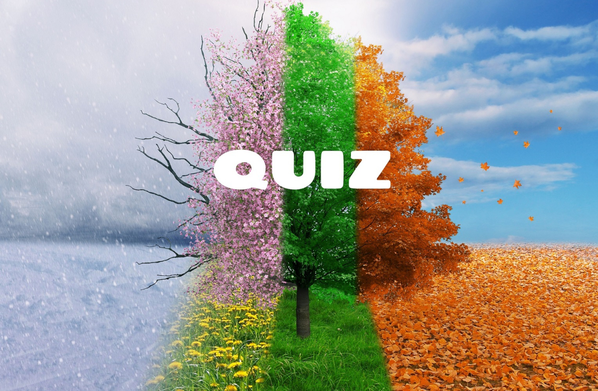 pory roku quiz