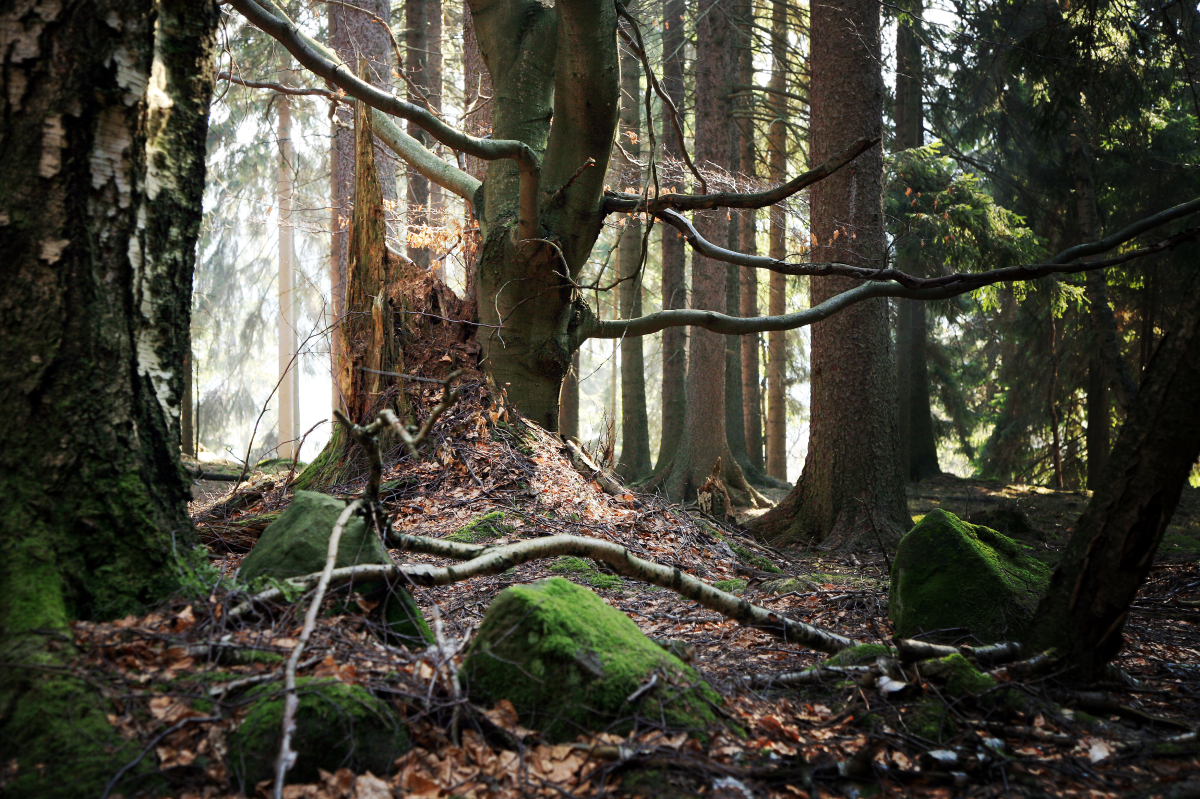 Sztab kryzysowy na Pomorzu. 