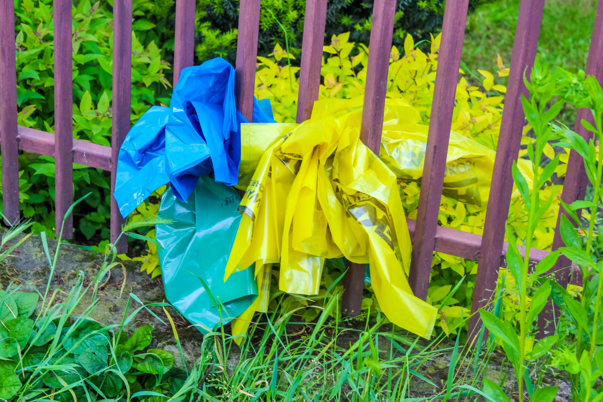 odpady, śmieci, gmina, kary, recykling