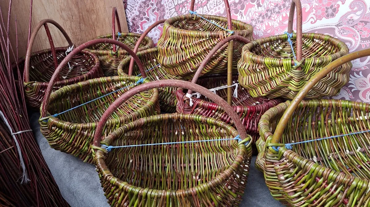 Polska królestwem wikliny! Dlaczego nasze kosze podbijają świat