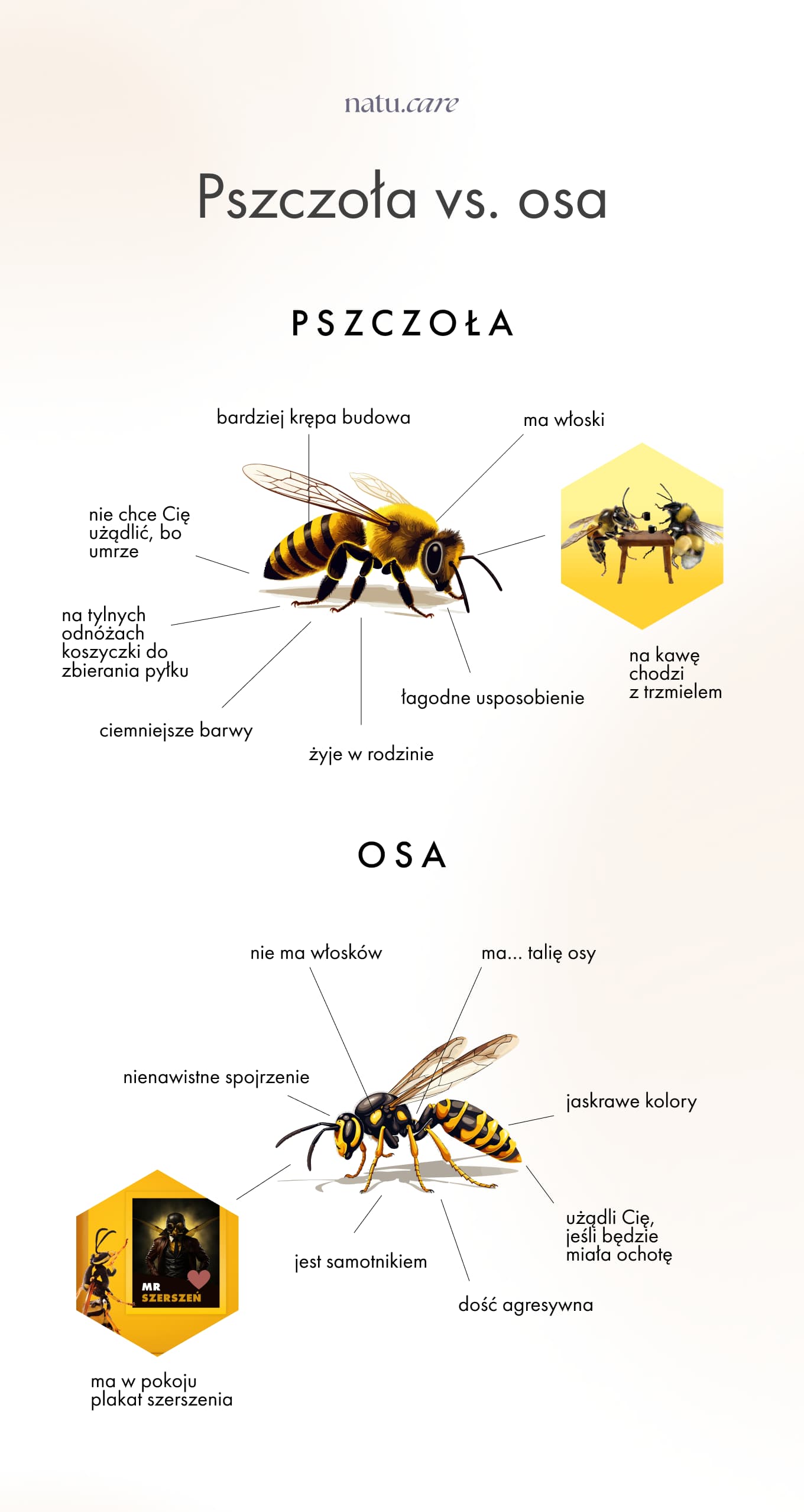 pszczoła vs osa