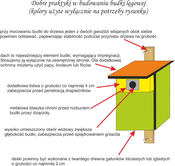 Jak wieszać budki dla ptaków