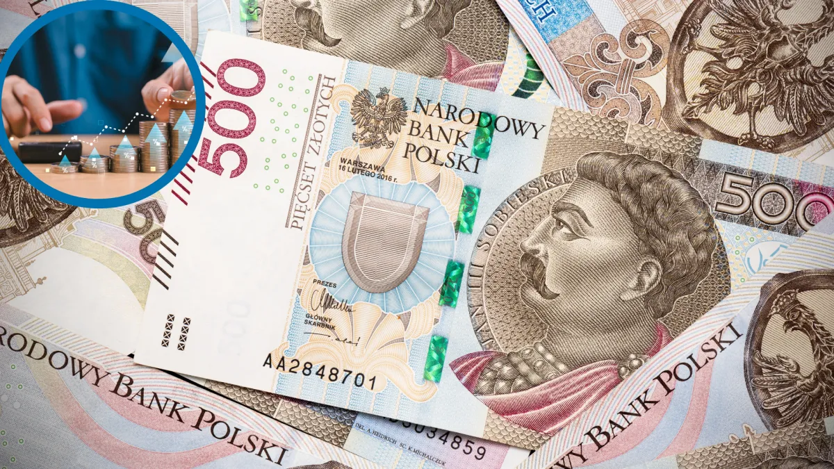 To tam mieszkańcy mieli w 2024 roku najwyższy dochód na osobę. Od 7995,40 złotych do 23.773,77 złotych. Mieszkasz w którejś z tych gmin?