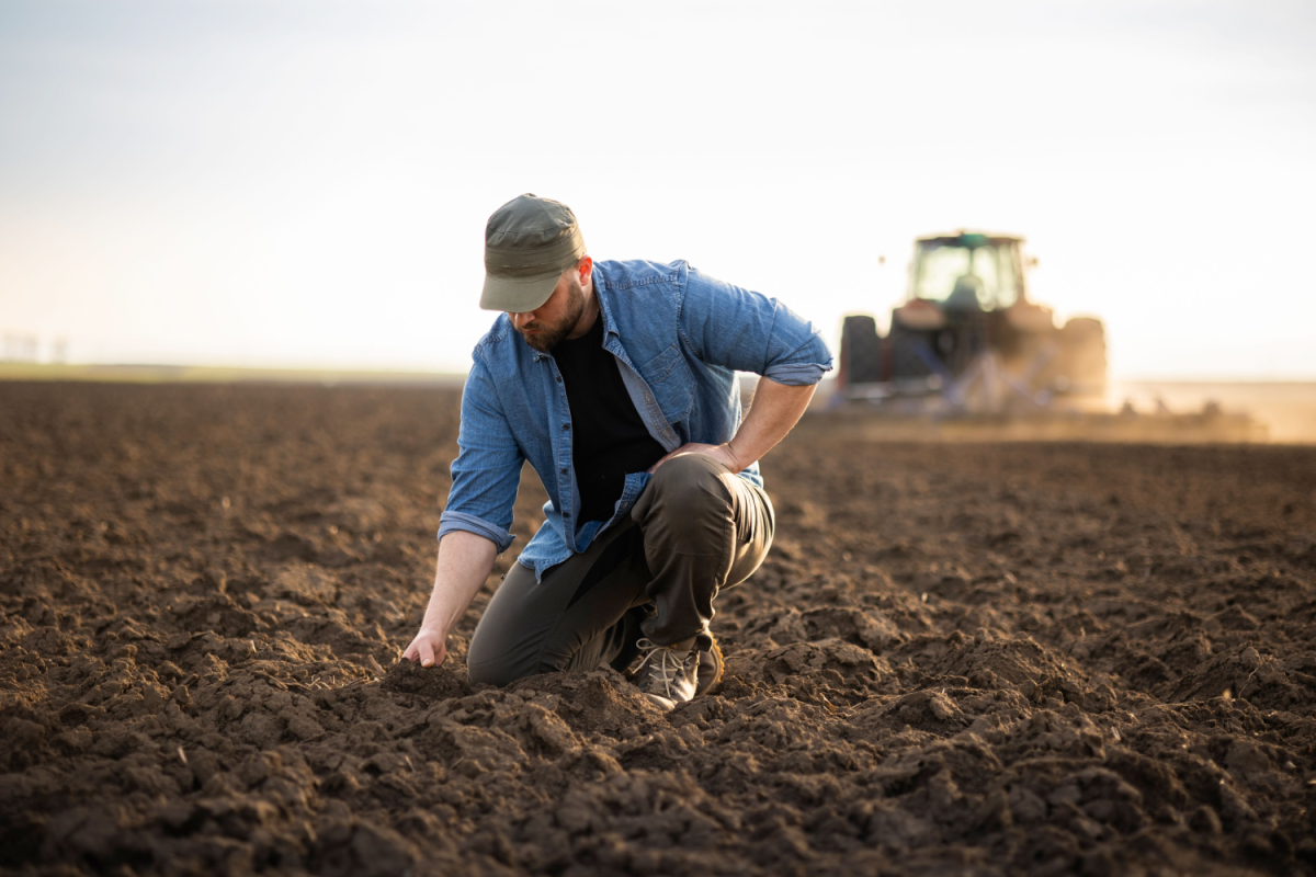 Dzierżawcy z dostępem do unijnych i krajowych dopłat. A rolnik przekazujący zyska na KRUS - nowe przepisy mają uporządkować kwestię umów dzierżawy