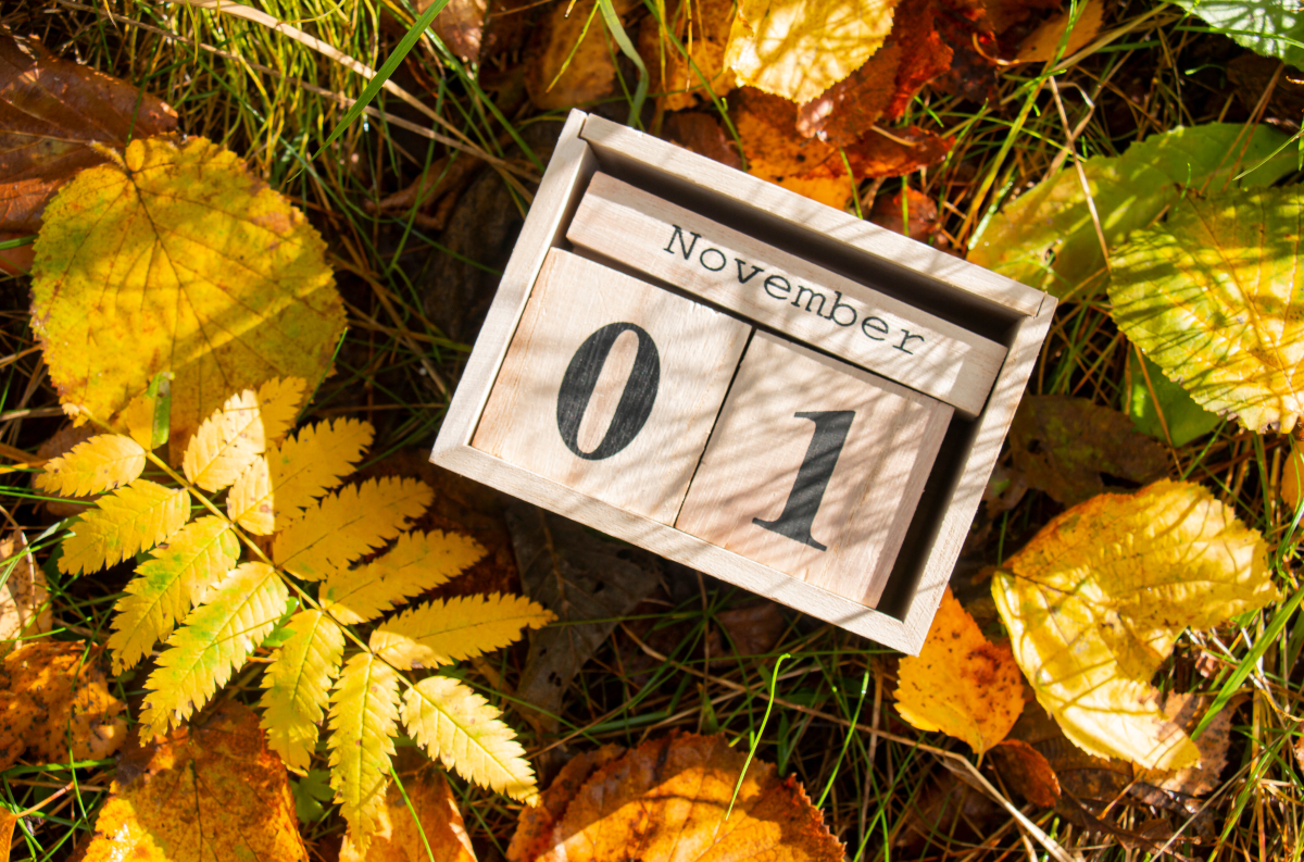 1 listopada, 2025, niepełnosprawni, OZZ