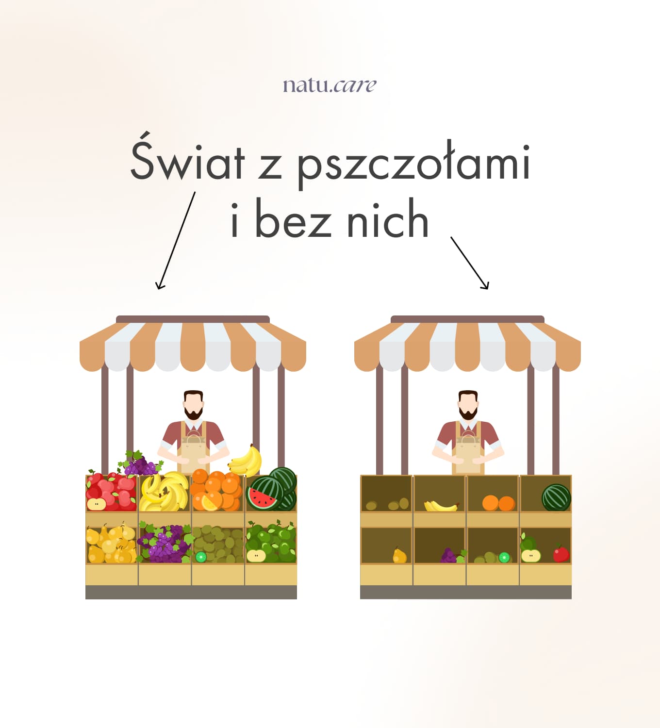 świat bez pszczół 