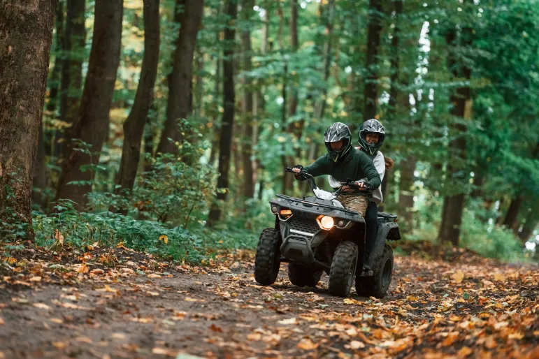 quad, las, kara, areszt, prace społeczne