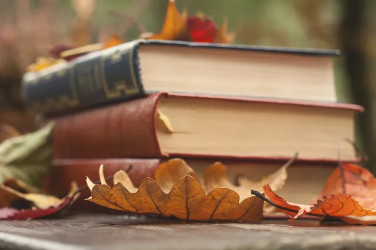 Fallen,Autumn,Leaves,And,Books,In,A,Wooden,Garden,Table