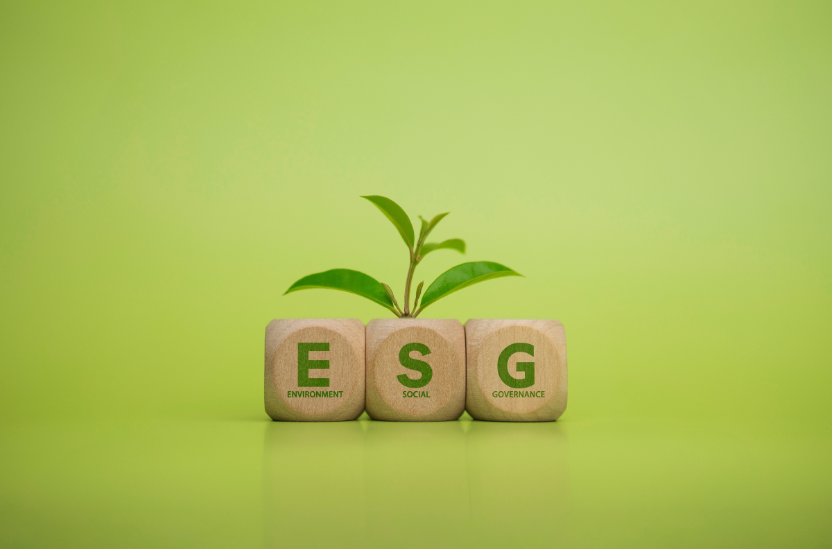 esg, raportowanie esg