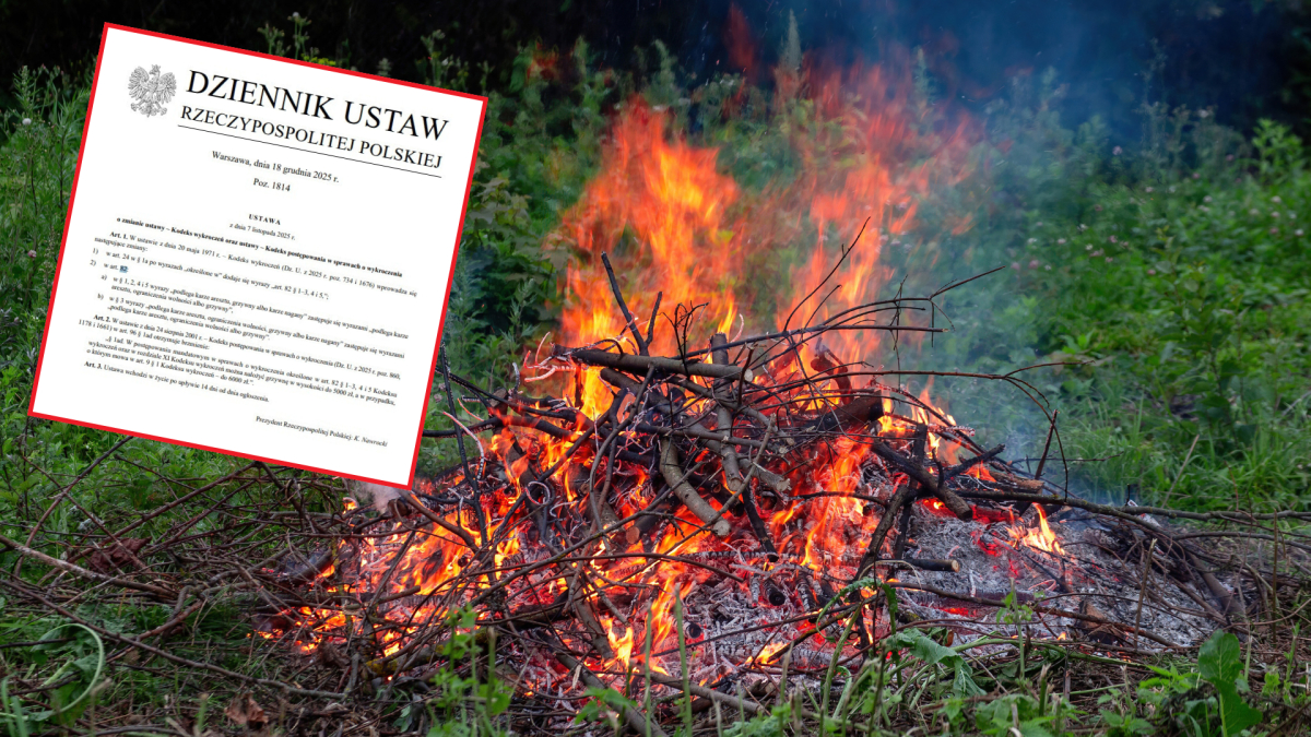 ognisko, pożar, nieruchomości, grzywna, wypalanie traw, wiosna