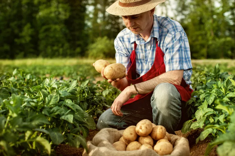 Sprzedaż produktów rolnych do 100 tys. zł bez podatku