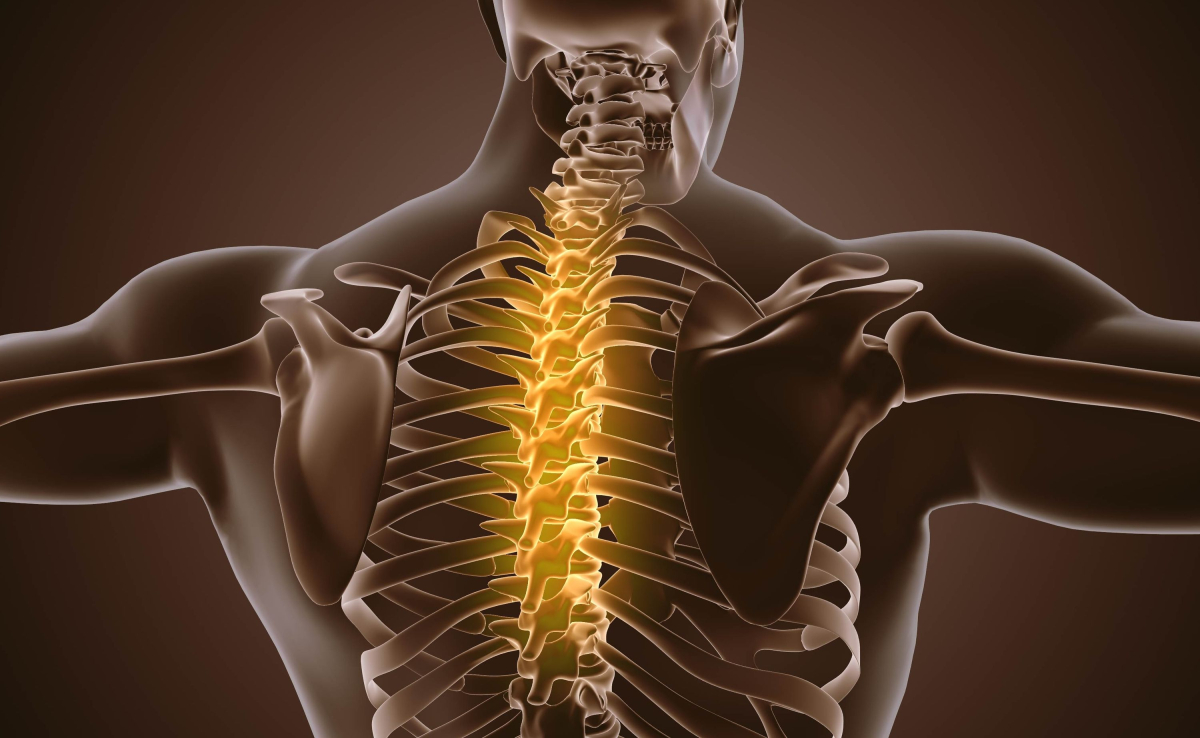 Przełom w leczeniu urazów rdzenia kręgowego: nowa terapia regeneruje tkanki i ogranicza bliznowacenie