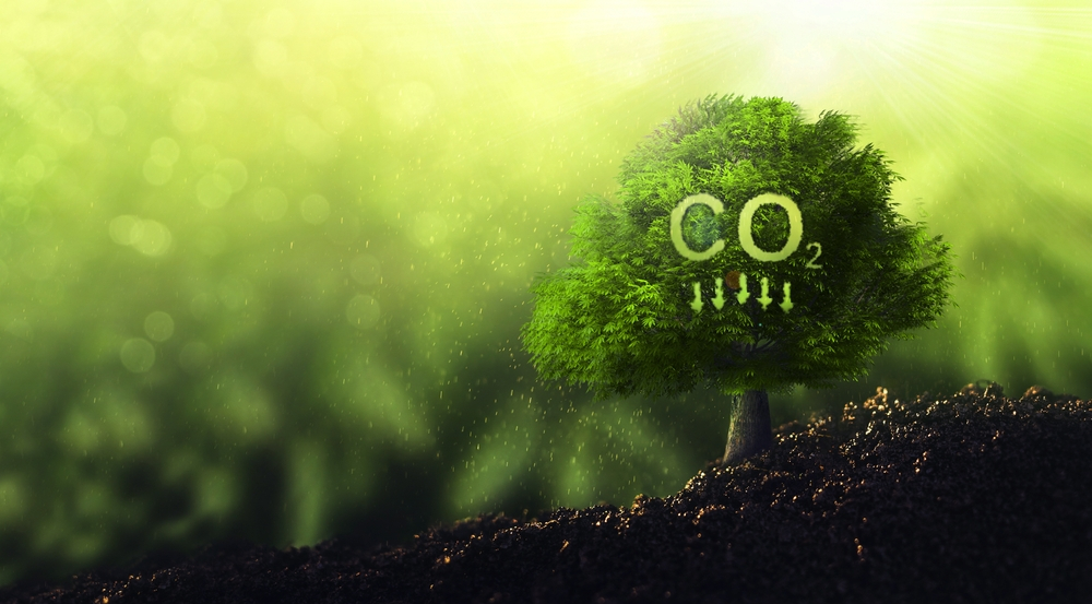 Emisje CO2 i gazów cieplarnianych - obowiązki sprawozdawcze