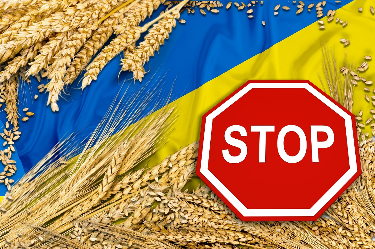 Ukraińskie zboże