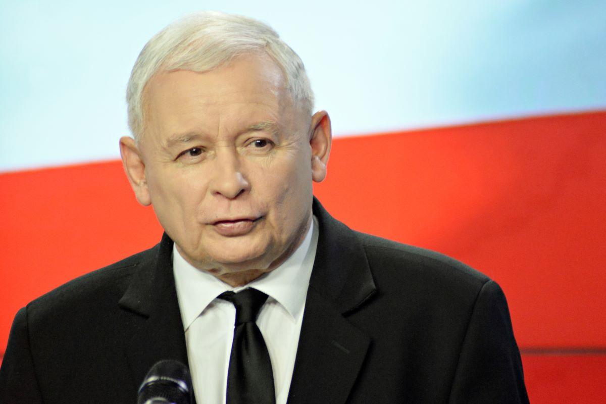 propozycje programowe pis